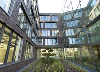 Atrium with grasses and groundcover